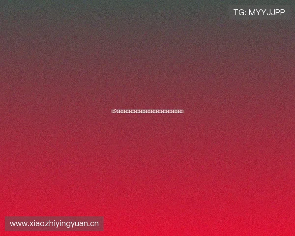 小9体育官网入口最新动态与全面解析，带你了解平台特色与优势