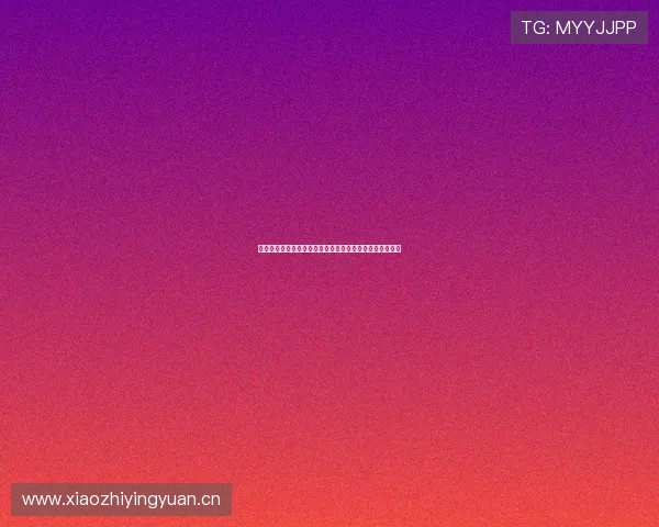 新记体育官网：全面解析新记体育平台功能与用户体验优化