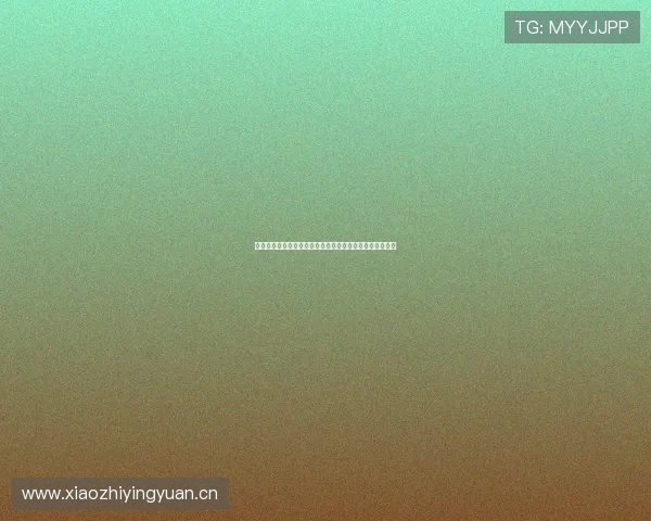 雨燕直播体育手机版全新上线，畅享极速体育赛事直播体验